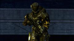 Please Permit Weapon Lowering