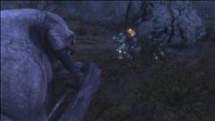 i have an offer to u guys