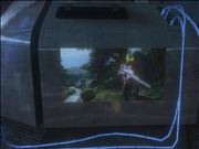 The Chief's holiday snaps