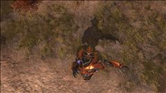 The Pillar of Autumn