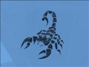 scorpion