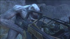 Chief, u really messed this one up..