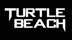 Turtle Beach