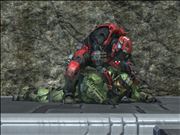 The world must see this (REUPLOADED)