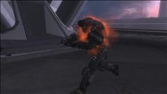 Orange pestilence!?!