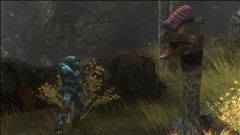 Moa Does NOT Approve