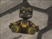 Do you know what this is?