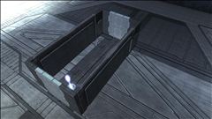 Infected Initial Spawn