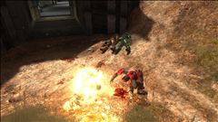 Orange fish green fish red fish dead fish