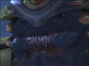 those were some good brownies bro