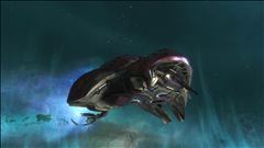 Long Night of Solace