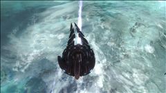 Long Night of Solace