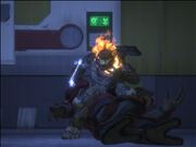 LASO Challenge Completed