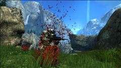 Blood-splattered Flowers