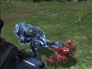 spartan: This is madness! elite: Madness? no... THIS IS BLOOD GULCH!!