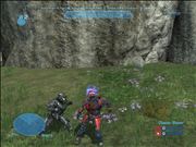 MOVIN IT LIKE BERNIE