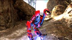 The Master Chief Moa