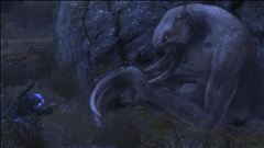 Dang... I think he sees me.