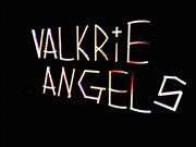 Valkries Angels Alliance