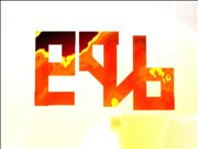 EQB BRONY CLAN FAN MADE SIG