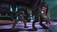 Long Night of Solace