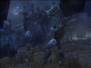 Can you spot the 2nd Hunter?