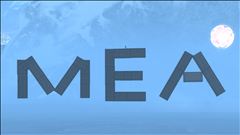 MEA {MURDIN EVOLUTION ARMY}