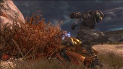 If You Came To See Me Bag