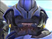 Drivers Liscense Photo