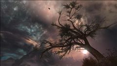 The Pillar of Autumn