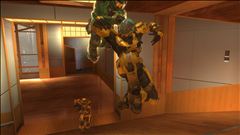 crouching tiger not so hidden ninja