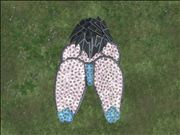 anime doggie position