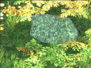 I bet this rock can have more fans than Justin bieber!