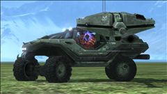 My Mexican Warthog!!!