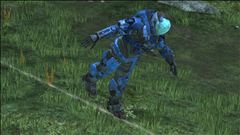 Walking the tightrope