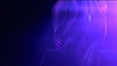 Nocturnal Serenade...