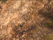 The Coolest Sticks Ever