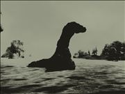 The Lochness Creature