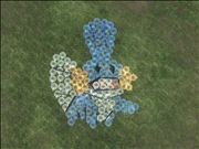 Mudkipz