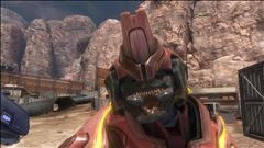 Smile For The Camera