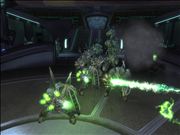 Plenty of them to go around