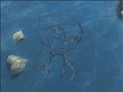 The only good anime art